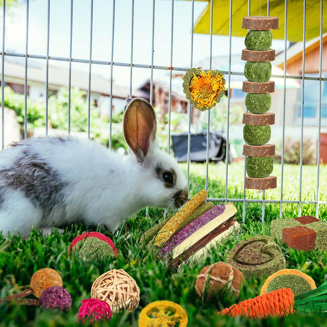 YIXUND Rabbit & Guinea Pig Toys