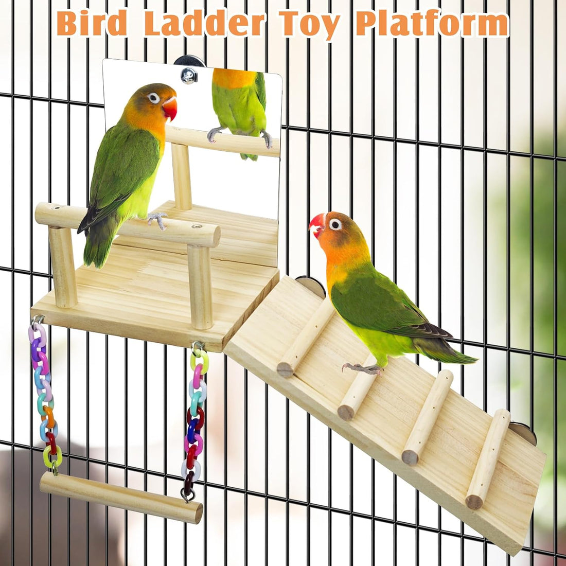 BNOSDM Bird Perch Platform with Mirror