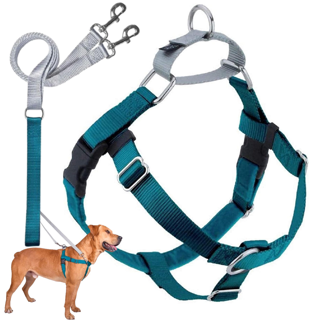 2 Hounds Design Freedom No Pull Dog Harness