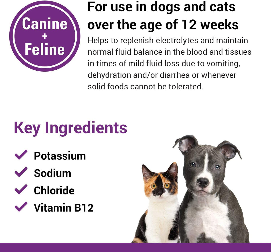 Vet Classics Pet-A-Lyte Oral Electrolyte Solution for Dogs & Cats