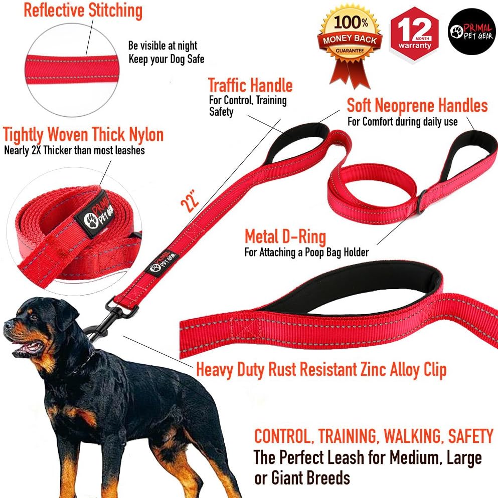 Primal Pet Gear Dog Leash 8ft Long - Blue - Traffic Padded Two Handle