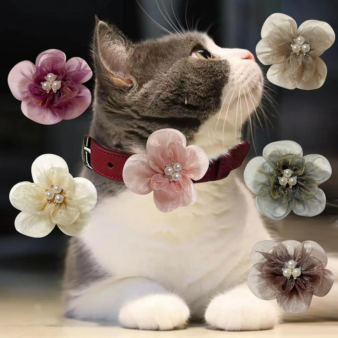 6 Pcs Dog Collar Accessories Slide-On Pearl Flower Charms