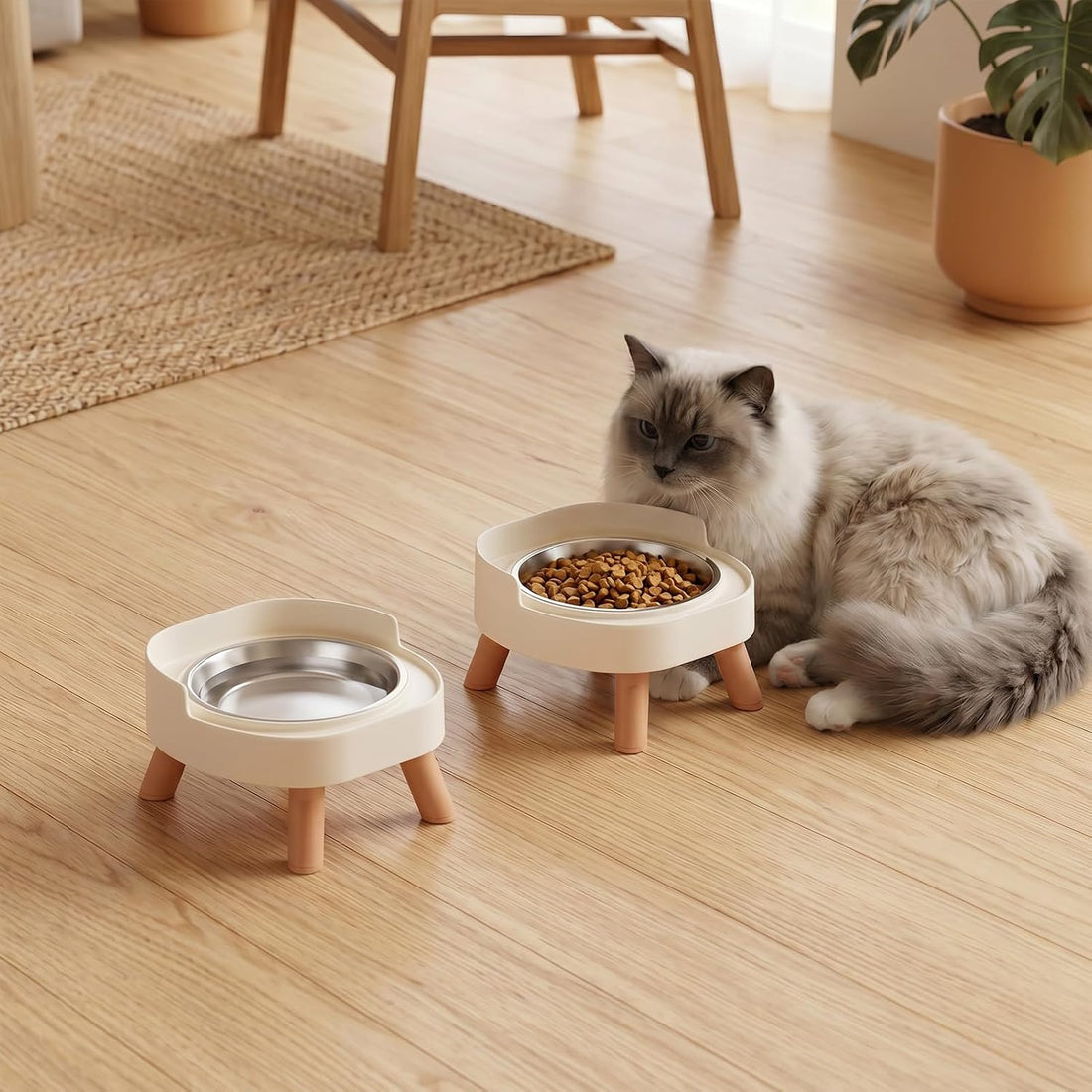 Elevated Cat Bowls, 2P Raised Cat Food and Water Bowl Set for Indoor