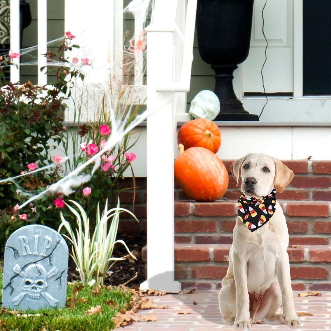 Whaline 5 Pack Halloween Dog Bandanas
