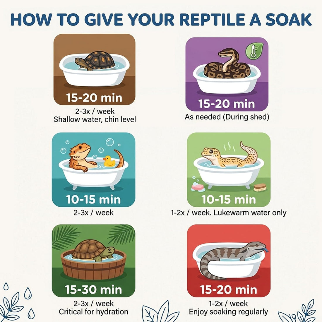 CTWPets Reptile Electrolyte Soak, Bearded Dragon Bath with Vitamins