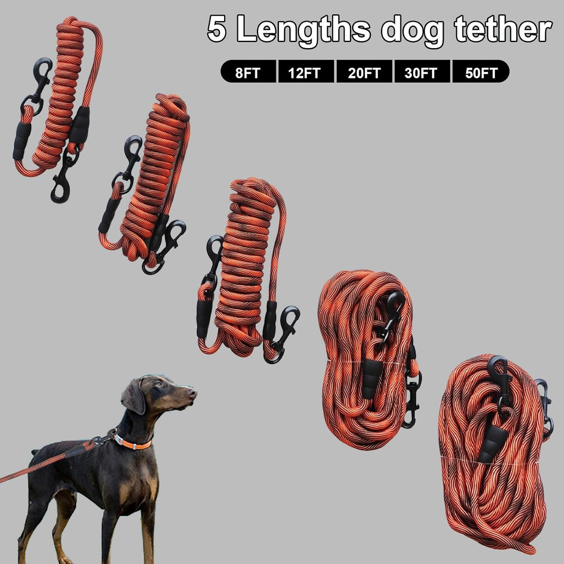 BTINESFUL Dog Tie Out, Check Cord Long Tether Rope Leash