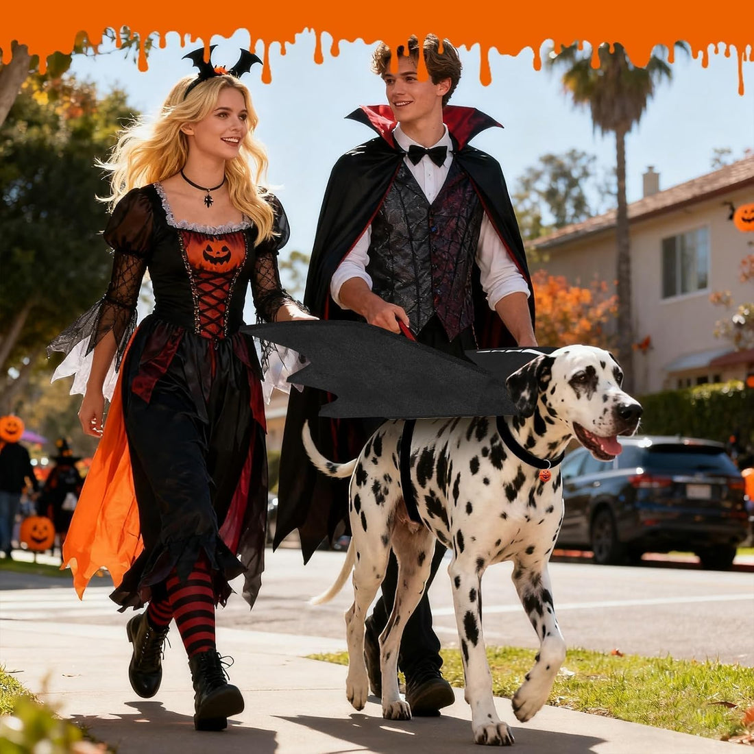 Olanrun Large Dog Halloween Costumes