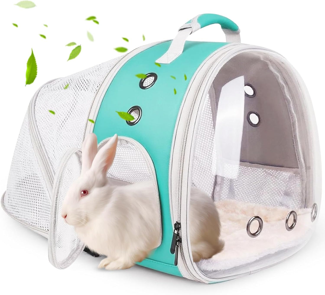 Back Expandable Backpack for Small Animals