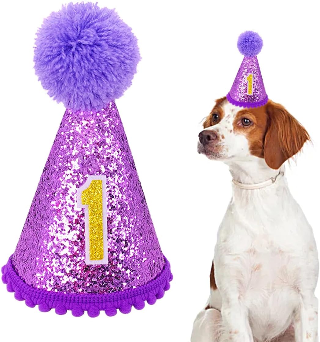 PET SHOW Blue Dog 1st Birthday Party Hat for Small Medium Dogs Boys