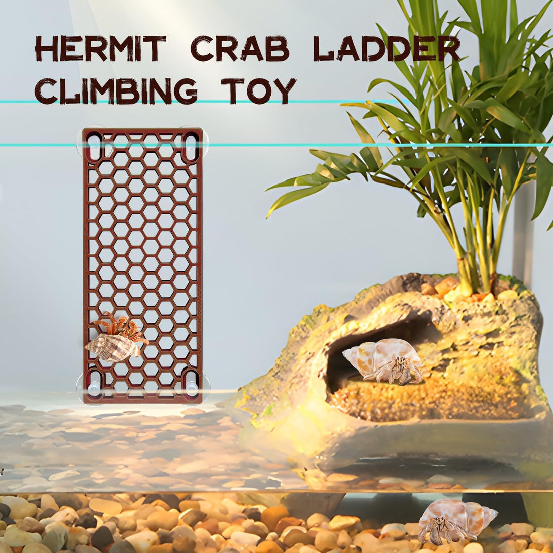 Hermit Crab Climbing Ladder Ramp Toy for Tank Habitat Decor