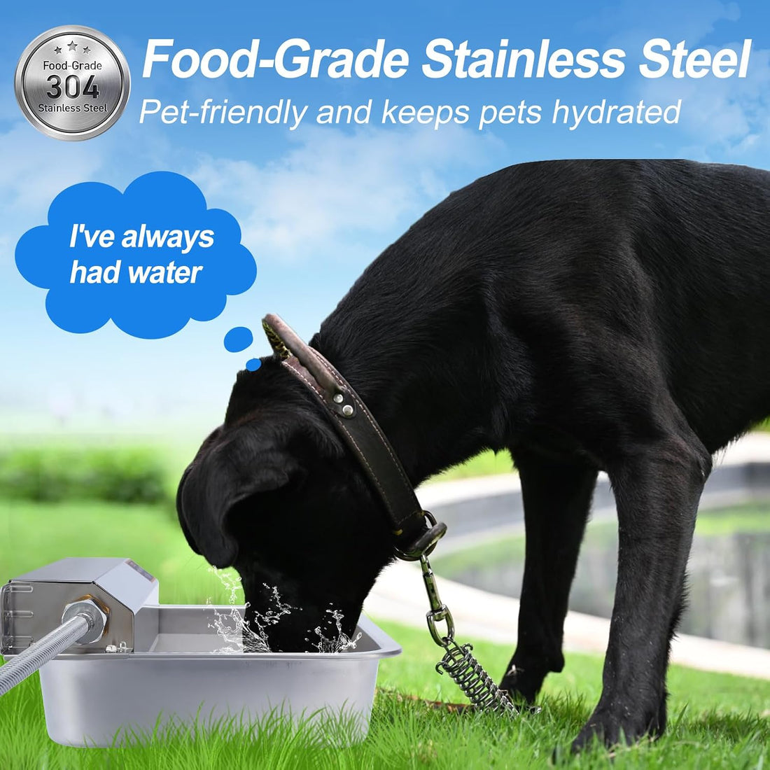 PETHIND 1Gal/3.8L Automatic Water Dispenser for Dogs