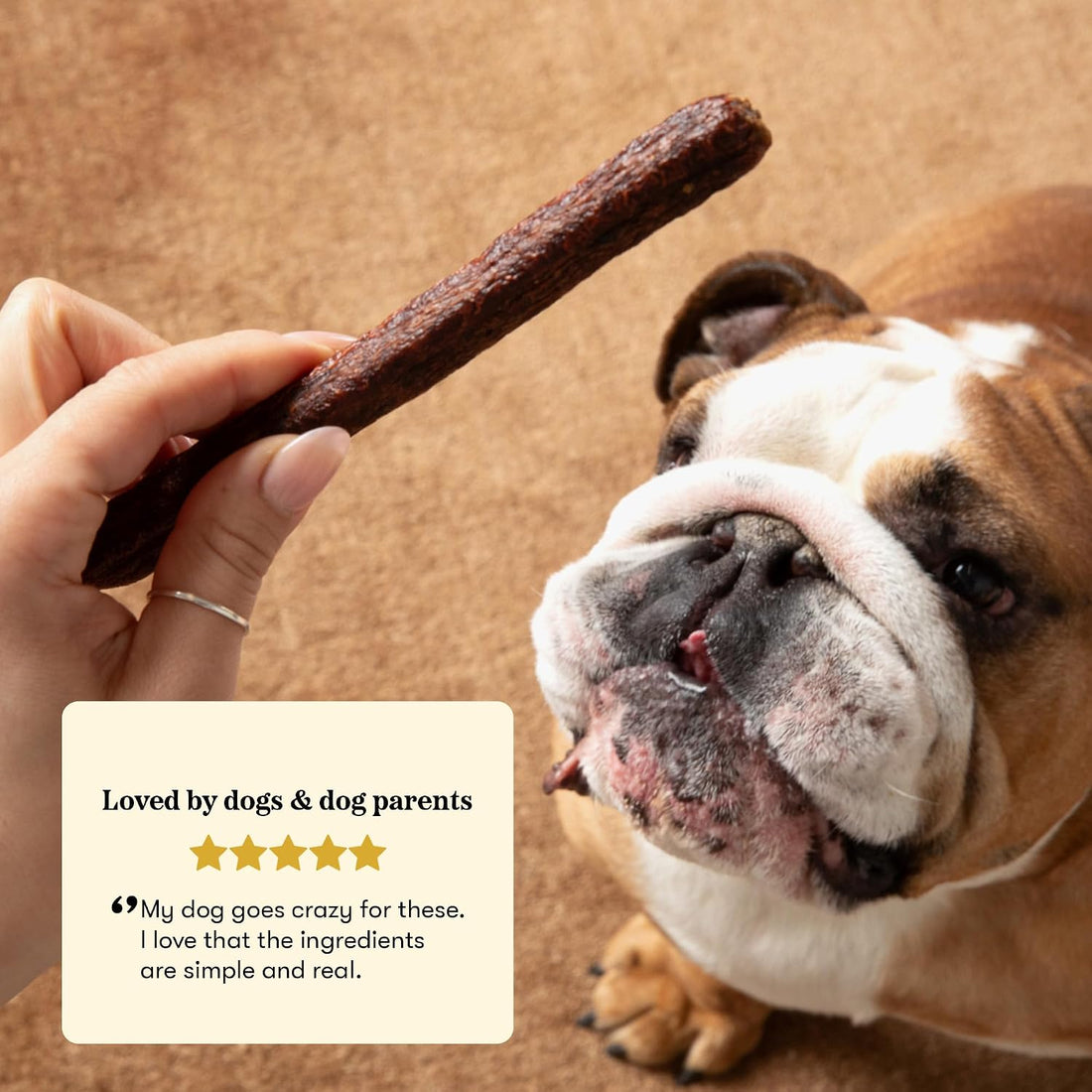 Plato Meat Sticks Salmon Dog Treats