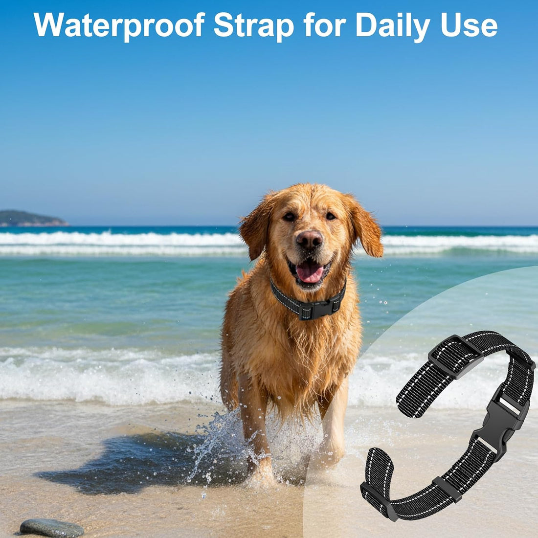 Replacement Collar Strap