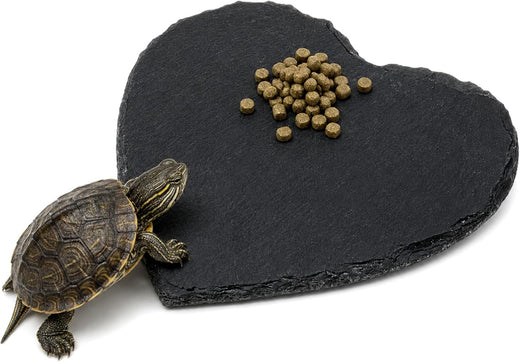 Basking Rock Slate Rocks for Reptiles Basking Platform 5.9 × 5.9 Inch