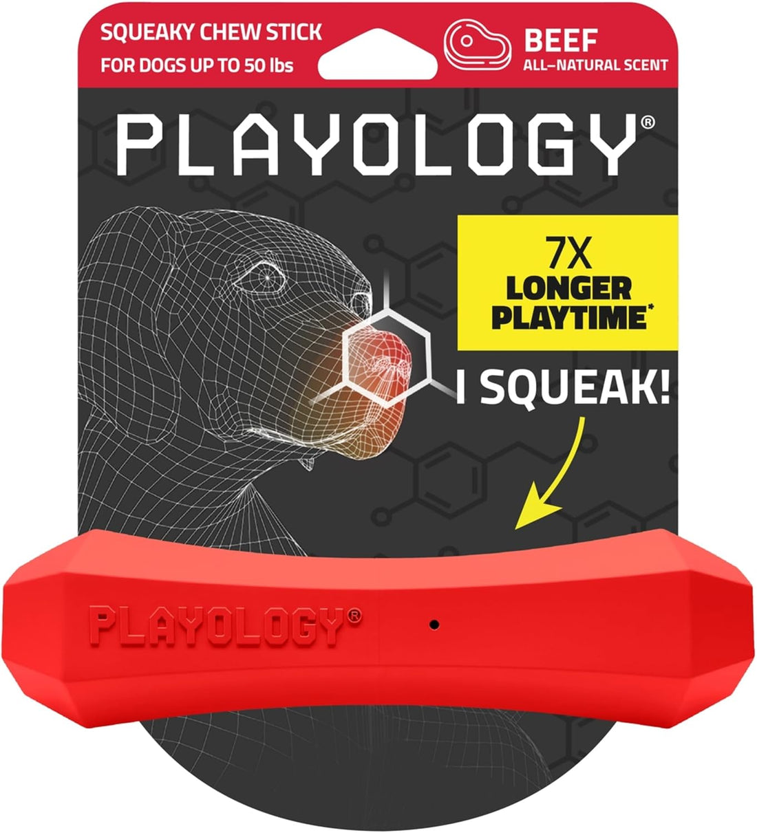 Playology Squeaky Chew Stick - Scented Dog Toy - Jumbo, Beef Scent