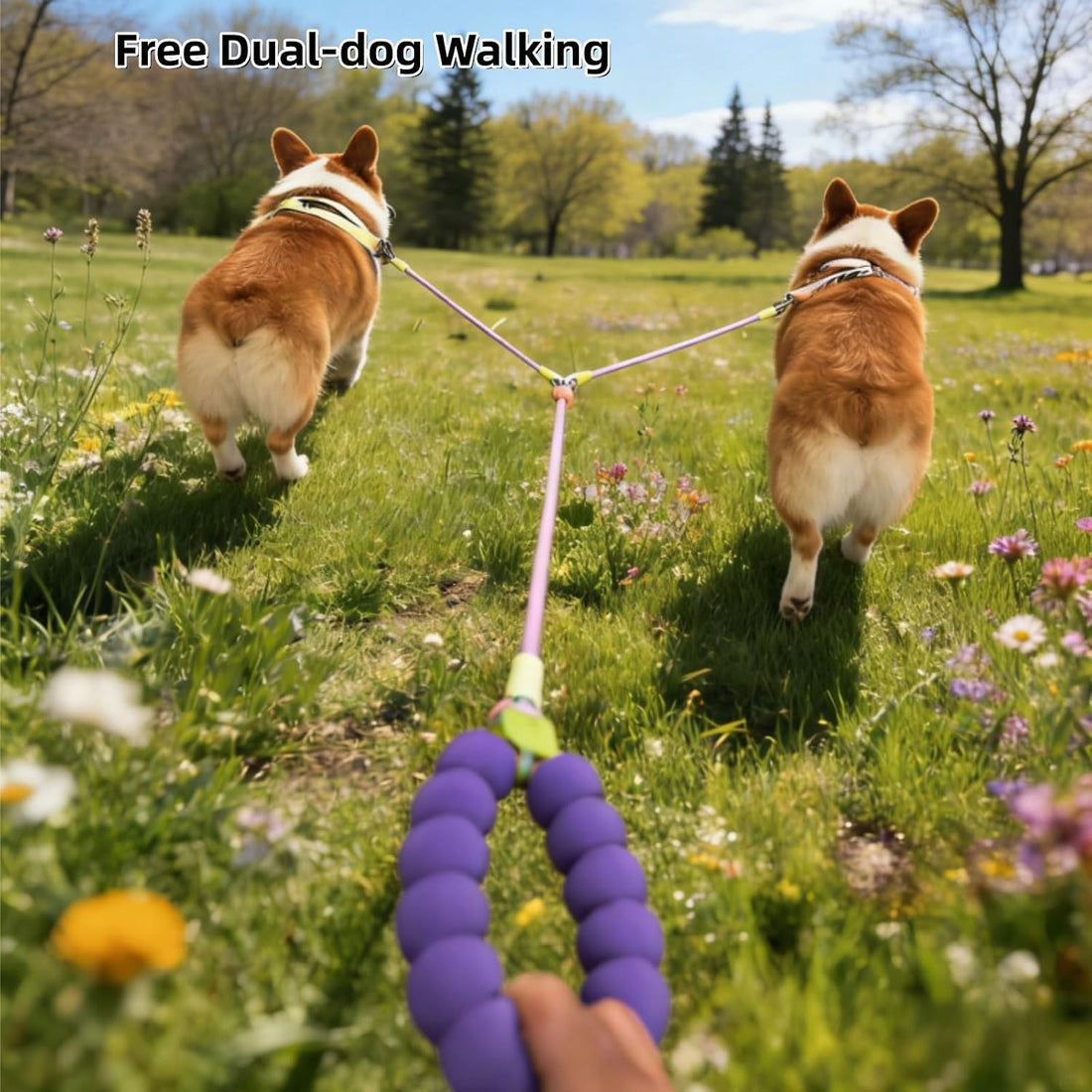 Double Dog Leash for 2 Small Dogs