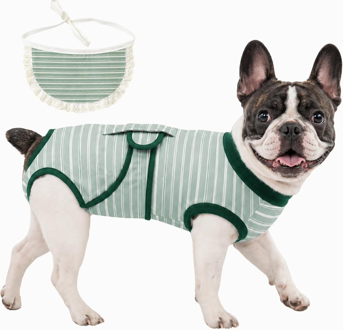 Surgery Recovery Suit for Female Male Dog