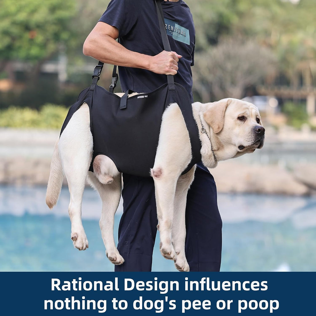 Full Body Lift Harness for Dogs,Canine Support Rehabilitation Dog