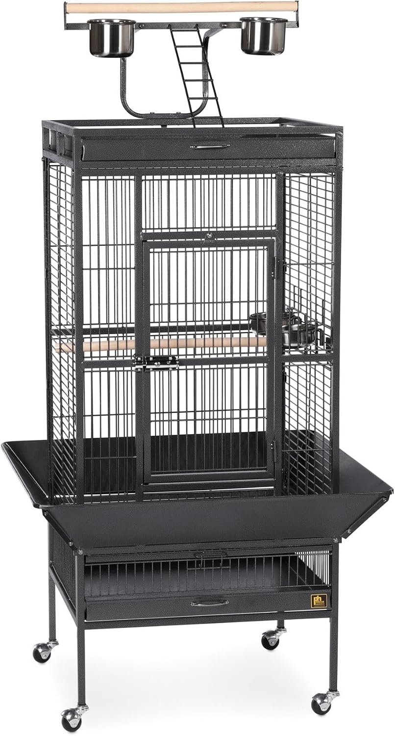 Prevue Pet Products Wrought Iron Select Bird Cage - L