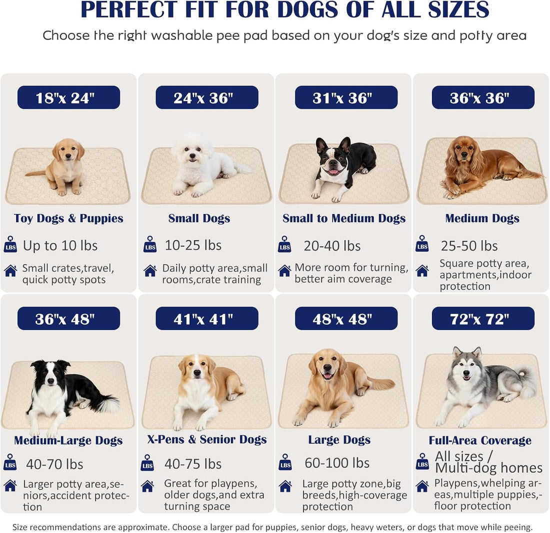 2 Pack Washable Pee Pads for Dogs, 36" x 36"