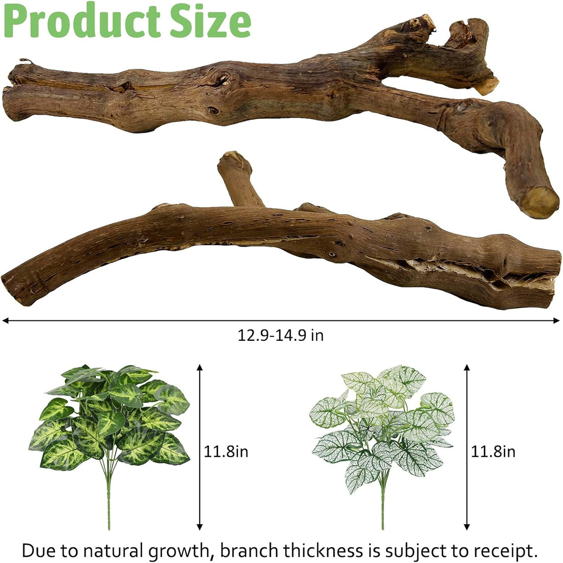 Reptile Branch Decor, Snake Climbing Wood Branches, Terrarium Logs