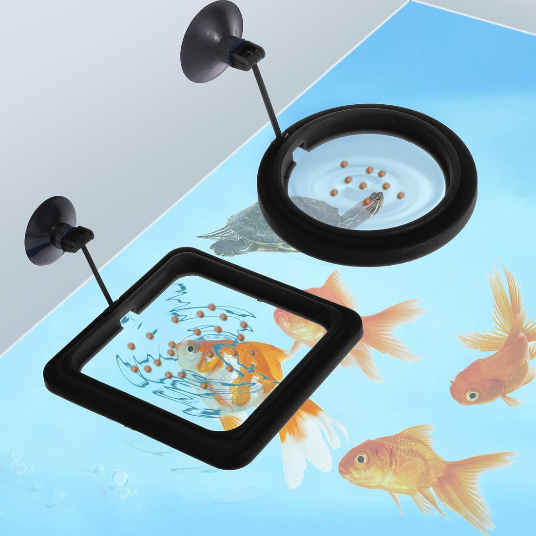 2 PCS Fish Feeding Ring, Aquarium Feeding Ring Automatic Goldfish