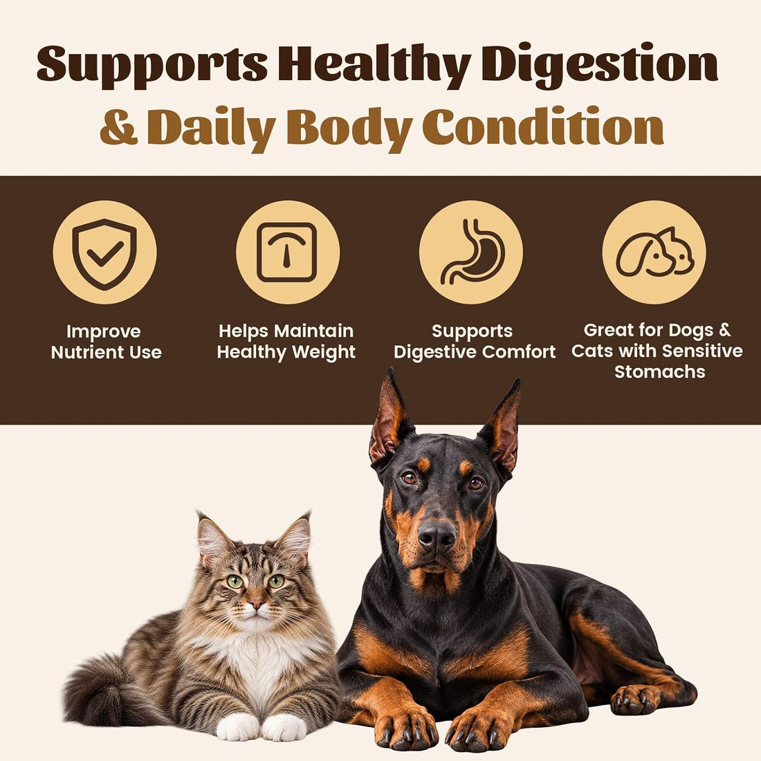 10X Digestive Enzymes for Dogs & Cats, Pancreatic Enzymes Powder