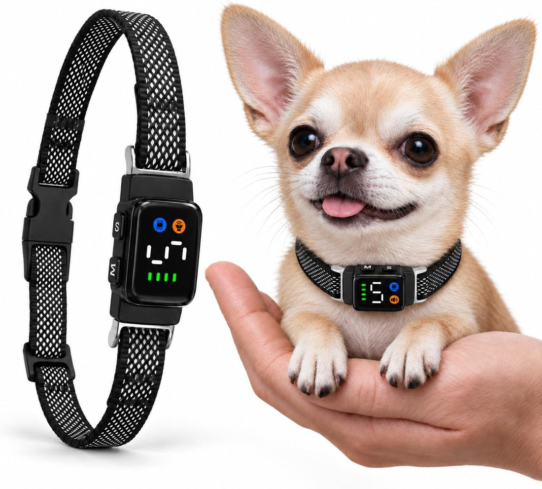 Teacup Bark Collar for Small Dogs 2-15lbs