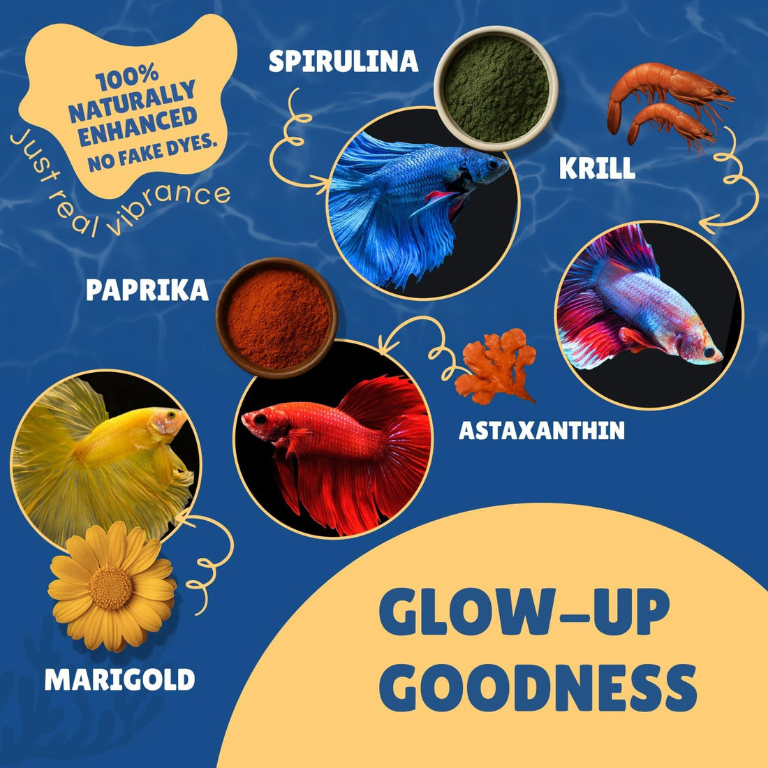 Betta Boost Pops | High-Protein Betta Fish Food Pellets Made in USA
