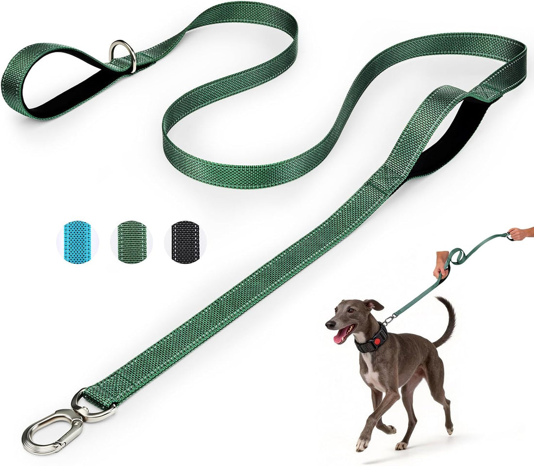 Heavy Duty Dog Leash with Easy Lock Metal Clip, Reflective