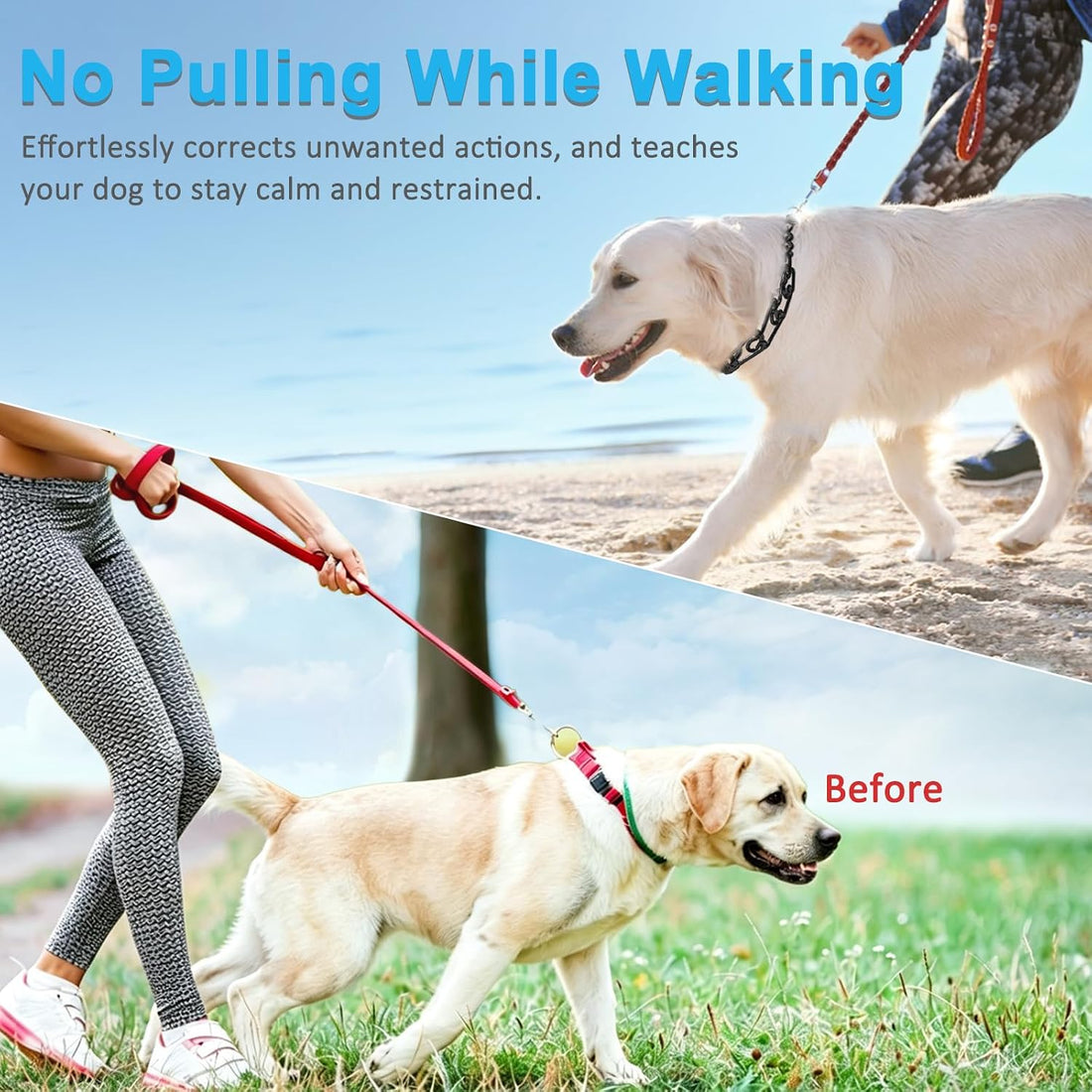 Prong Pinch Collar for Dogs,Dog Training Collar for Small Medium