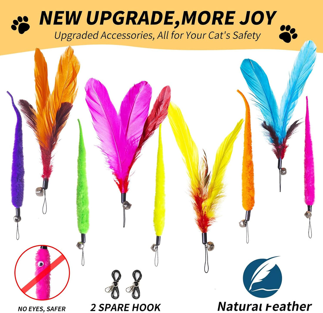 FYNIGO Interactive Cat Wand Toys for Indoor Cats