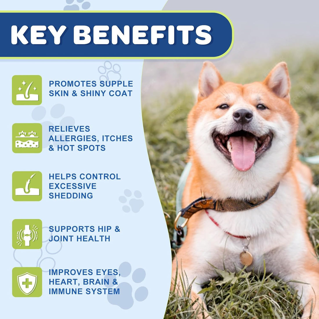 NATURE TARGET Omega 3 Fish Oil for Dogs