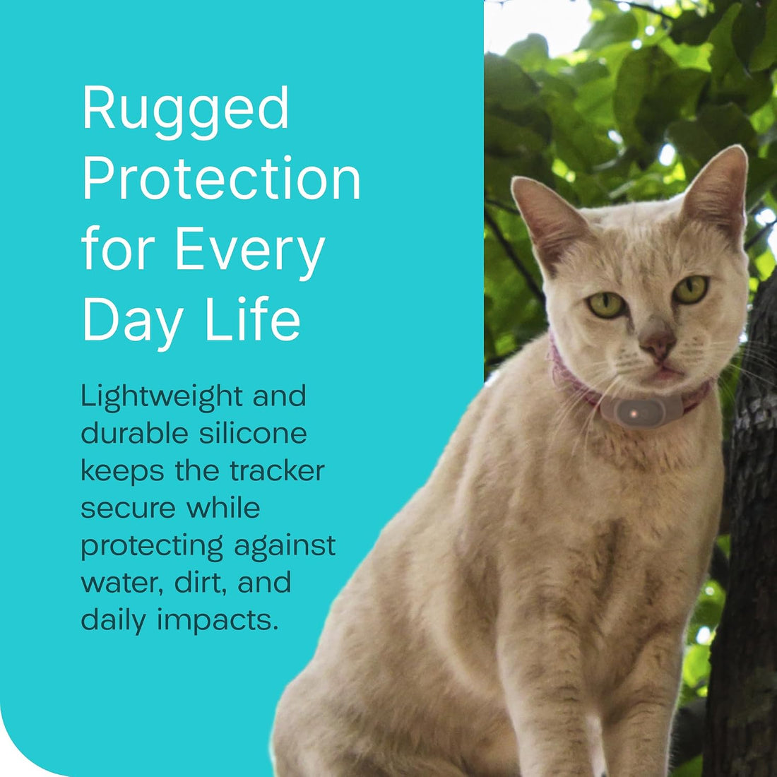 Tabcase v2 Protective Cases for Loc8tor TabCat Pet Collar Locator v2