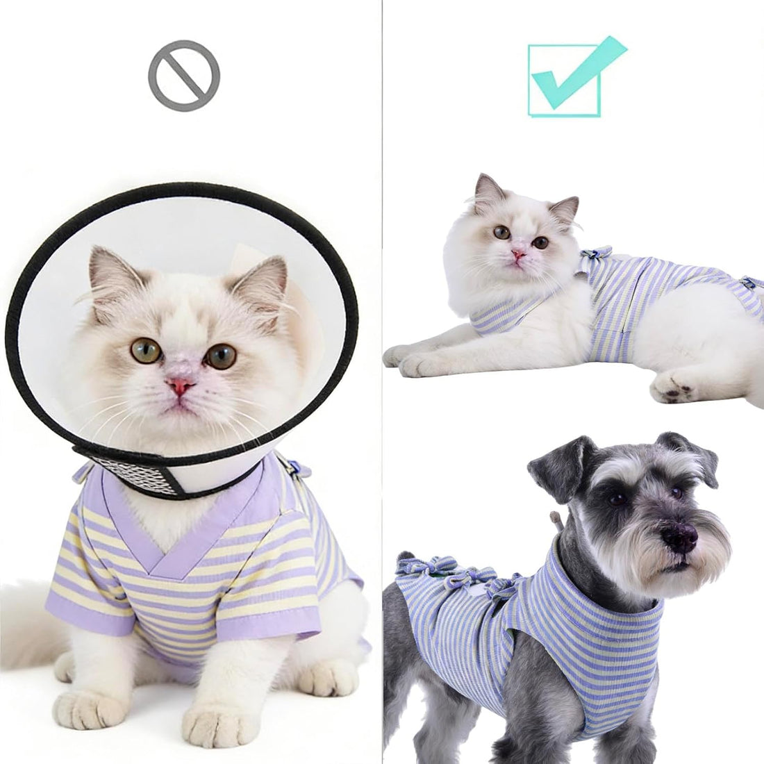 4 pcs Cat Surgery Recovery Suit