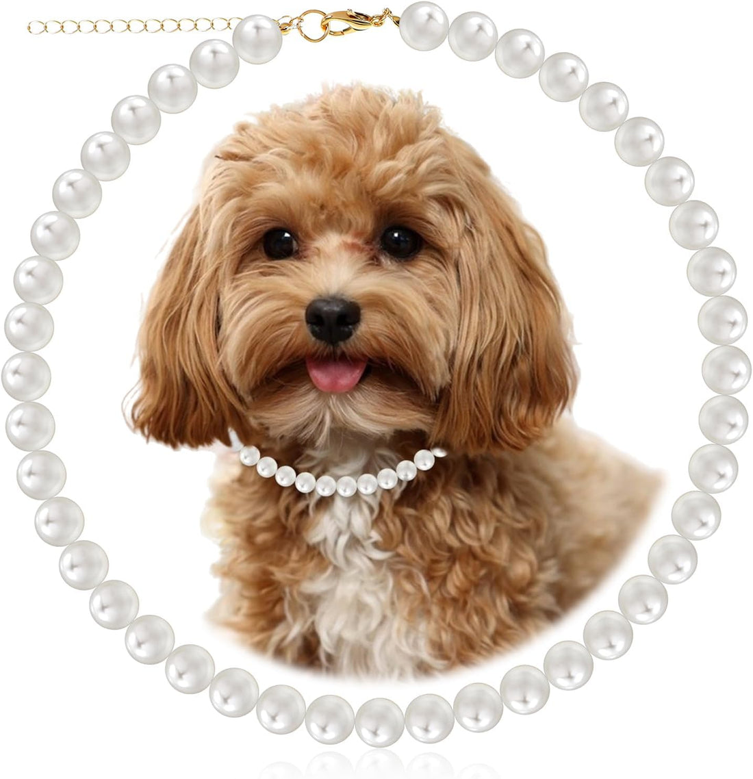 Chunky Pearl Dog Necklace Adjustable Dog Necklace Inner Neck