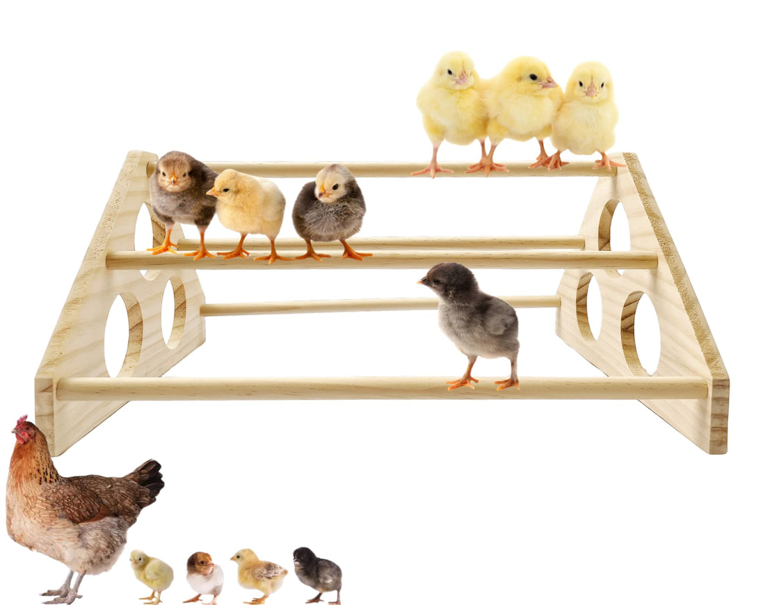 Large Wooden Pine Chick Perch Roosting Bar for Baby Chicks Brooder