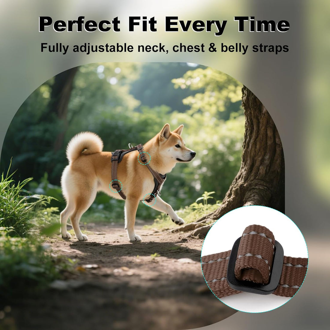 Plutus Pet No Pull Dog Harness with Leather Accents