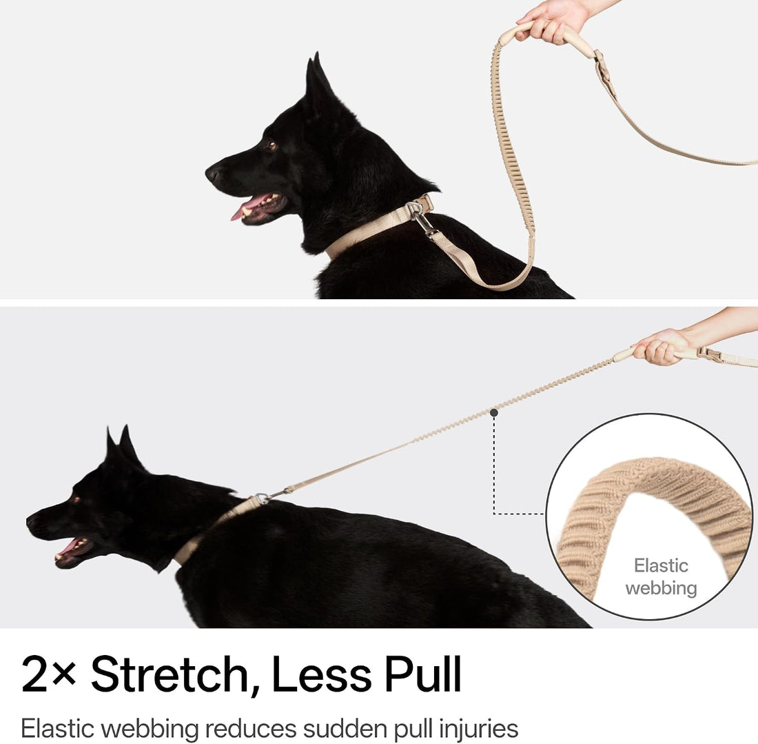 Hands Free Dog Leash Adjustable Versatile Crossbody Waist, Black