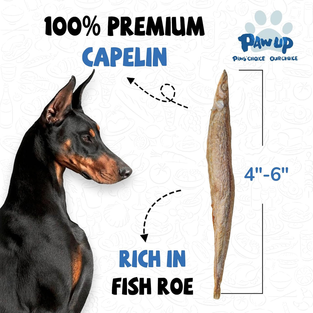 PAWUP Freeze Dried Salmon Dog Treats, Single Ingredient
