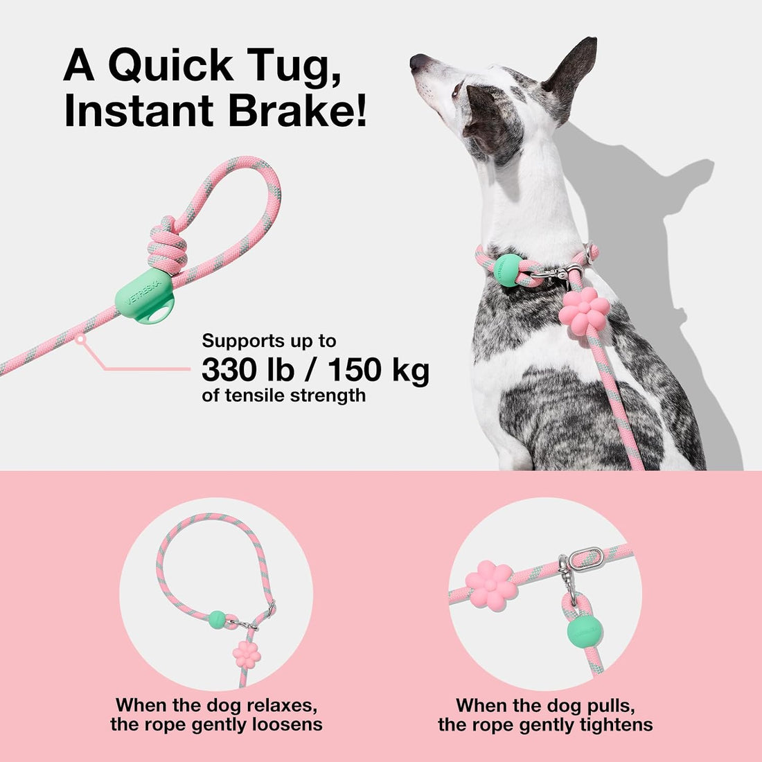 VETRESKA Hands-Free Dog Leash