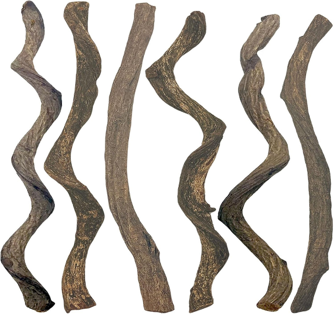 Reptile Decor 4PCS Natural Forest Branch Terrarium Habitat Wood