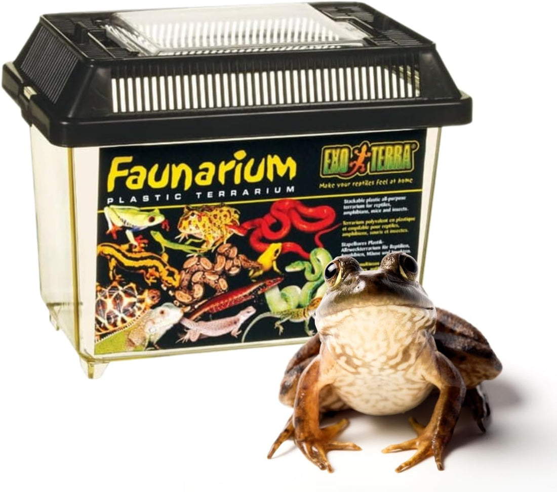 Exo Terra Faunarium Small Plastic Reptile Terrarium & Transport