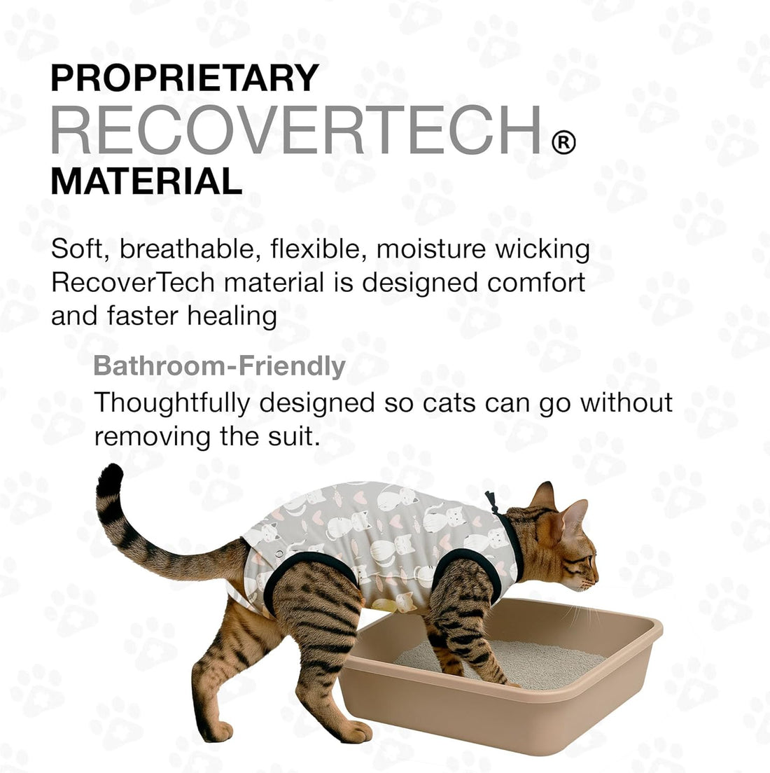 BellyGuard Cat Recovery Suit for Female and Male