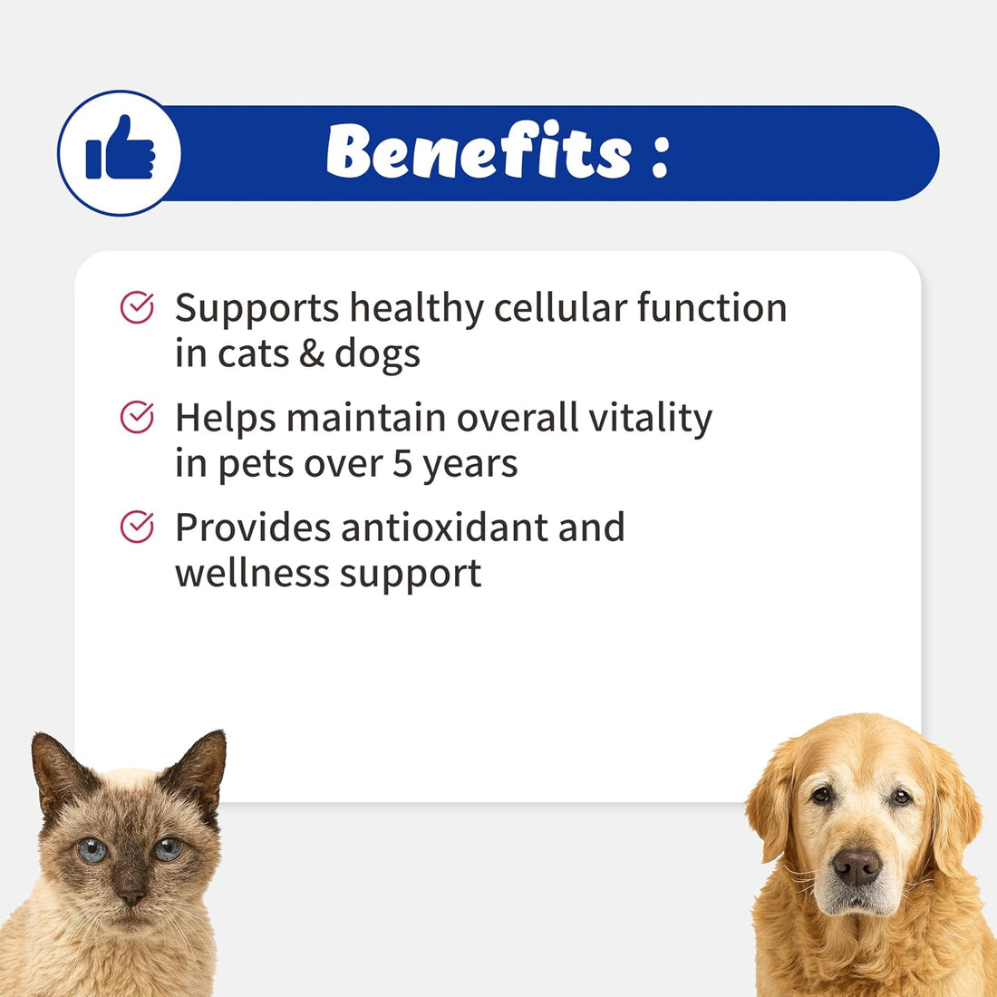NAD+ CellVet Vitality Blend for Cats & Dogs – Cellular Resilience