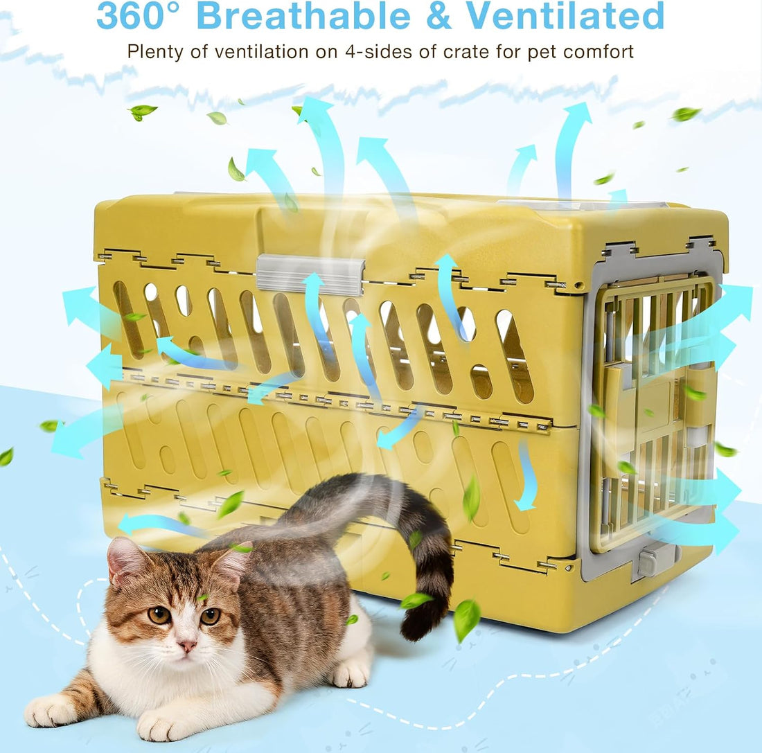 Collapsible Cat Carrier Hard, Plastic Hard-Shell Pet Carrier Travel
