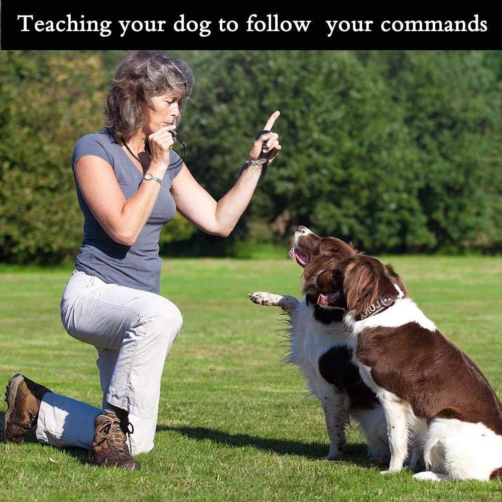Dog Whistle 2 Pack Adjustable Ultrasonic Silent for Barking & Recall