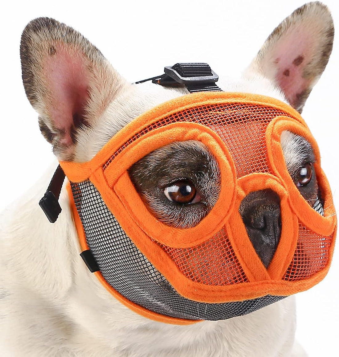 BARKLESS Short Snout Muzzle for French Bulldog, Shih Tzu