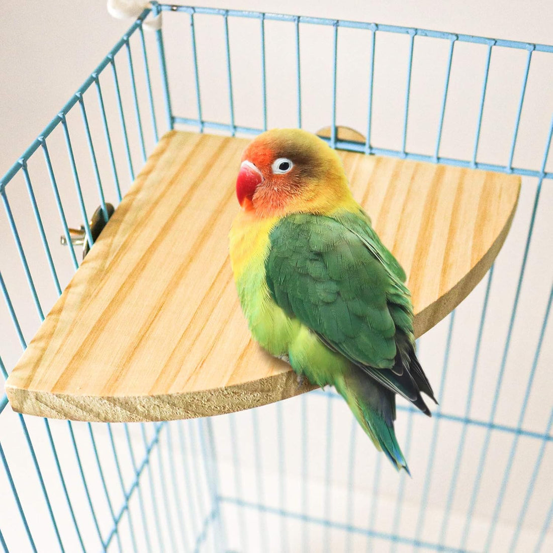 2 Pack Bird Perch Platform, Parrot Stand Sector Playground Wood Perch