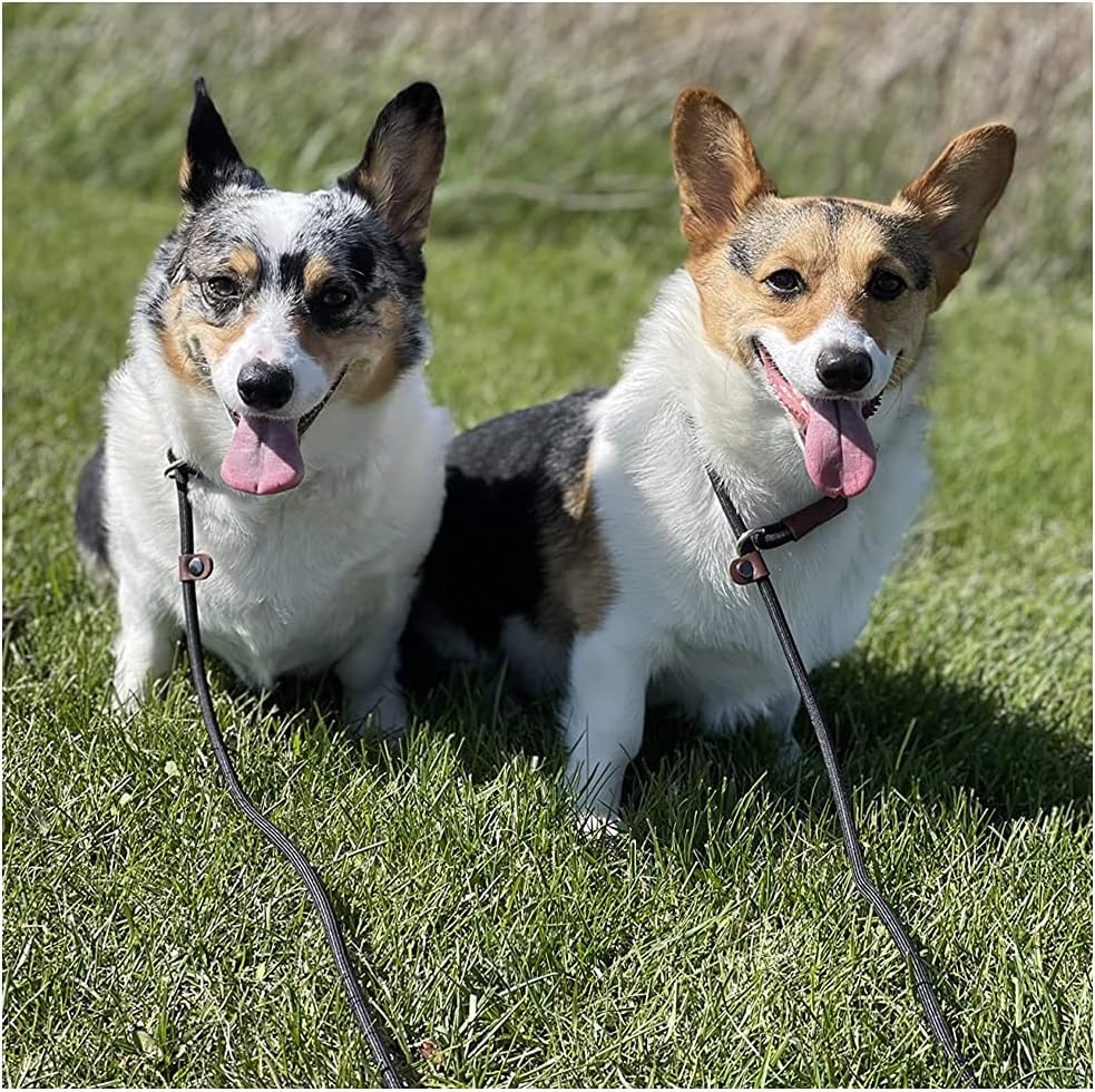 BTINESFUL 5FT 6FT 7FT Slip Lead Dog Leash, Strong Nylon Rope Leash